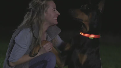 Lysande Halsband Till Hund, 
Lysande Hundkoppel, Ljushalsband - djurslottet
