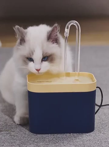 Dricksfontän Katt, 
Vattenfontän Katt, Fontaniano - djurslottet