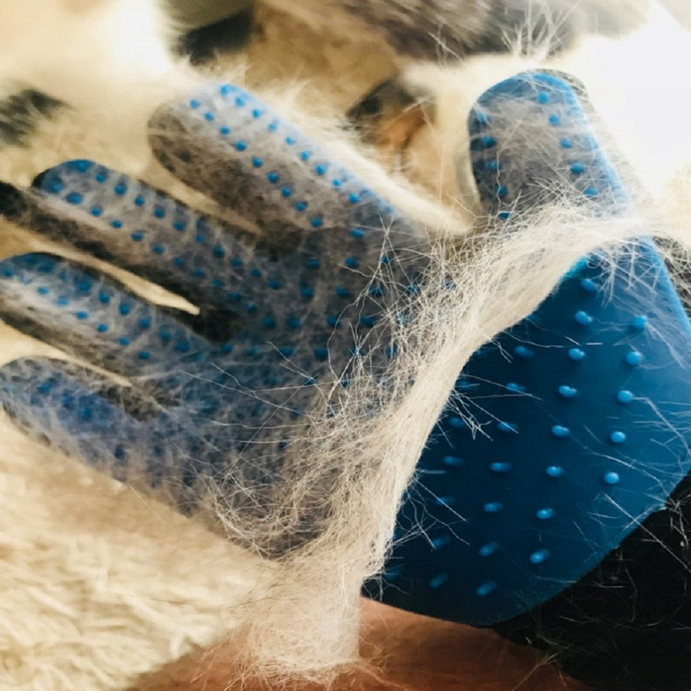 Grooming Handske, 
Borsta Katt Handske, Pälshandske - Djurslottet