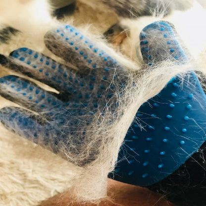 Grooming Handske, 
Borsta Katt Handske, Pälshandske - Djurslottet