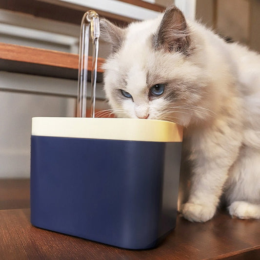 Dricksfontän Katt, 
Vattenfontän Katt, Fontaniano