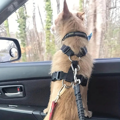 Säkerhetsbälte För Hund, 
Hundsele För Bil, Säkerhetsbälte för husdjur - Djurslottet