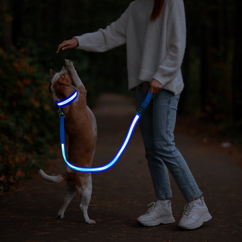 Led koppel - djurslottet
