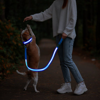 Led koppel - djurslottet