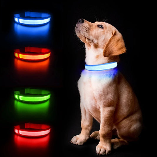 Lysande Halsband Till Hund, 
Lysande Hundkoppel, Ljushalsband - djurslottet