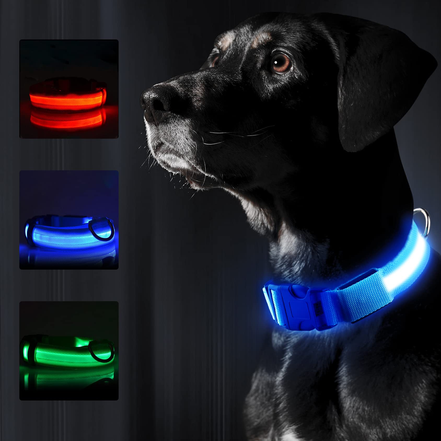 Lysande Halsband Till Hund, 
Lysande Hundkoppel, Ljushalsband - djurslottet