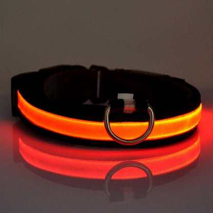 Lysande Halsband Till Hund, 
Lysande Hundkoppel, Ljushalsband - djurslottet