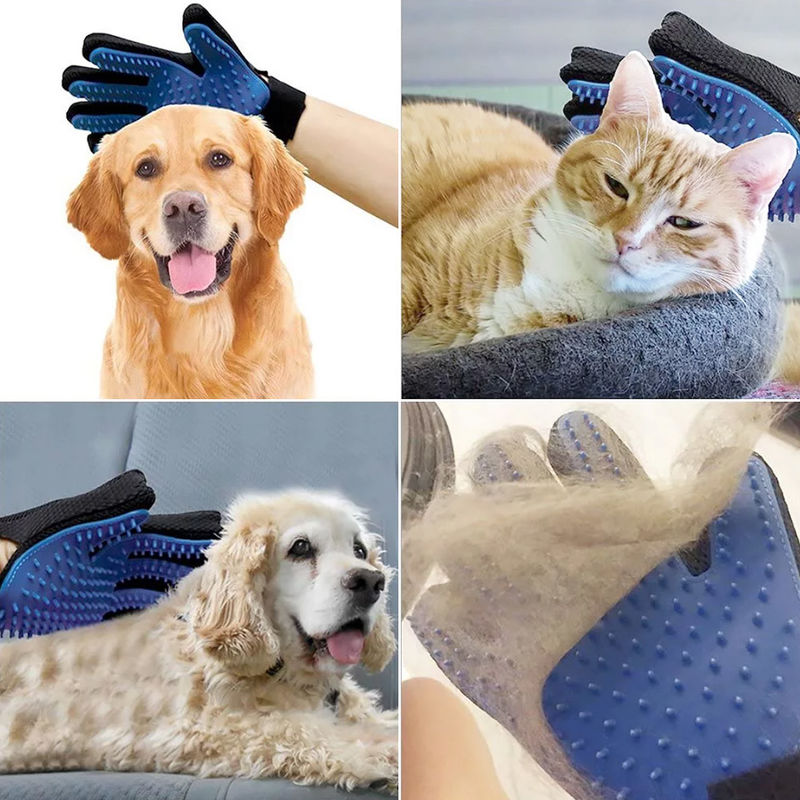 Grooming Handske, 
Borsta Katt Handske, Pälshandske - Djurslottet