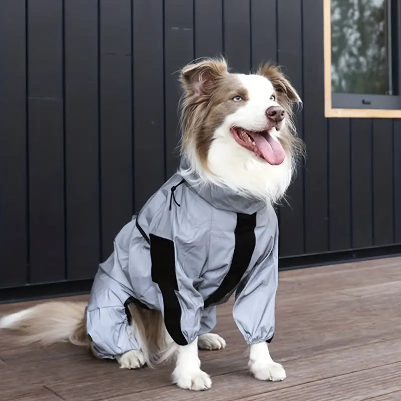 Regnjacka Till Hund, 
Regnjacka Hundar, Reflekterande Regntäcke till Hundar