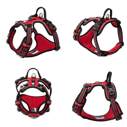 Hundsele Reflex, 
Kattsele Reflex, ReflexFit Justerbar Hundsele - djurslottet