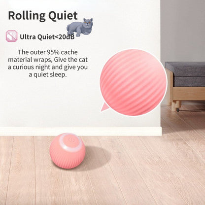 Kattleksak Boll, 
Kattleksak Boll Som Rör Sig, Rolling boll - Djurslottet
