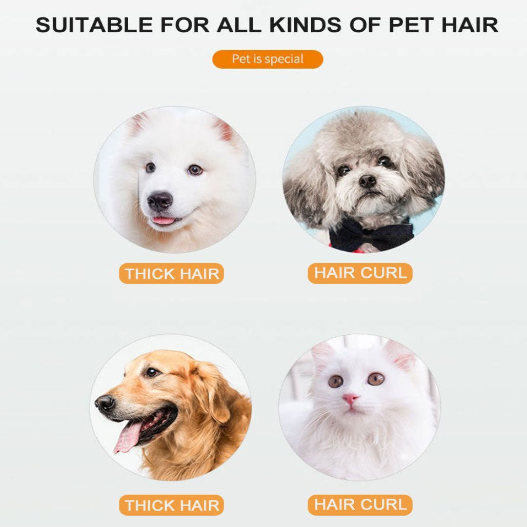 Professionellt Trimset Hund, Grooming kit - Djurslottet