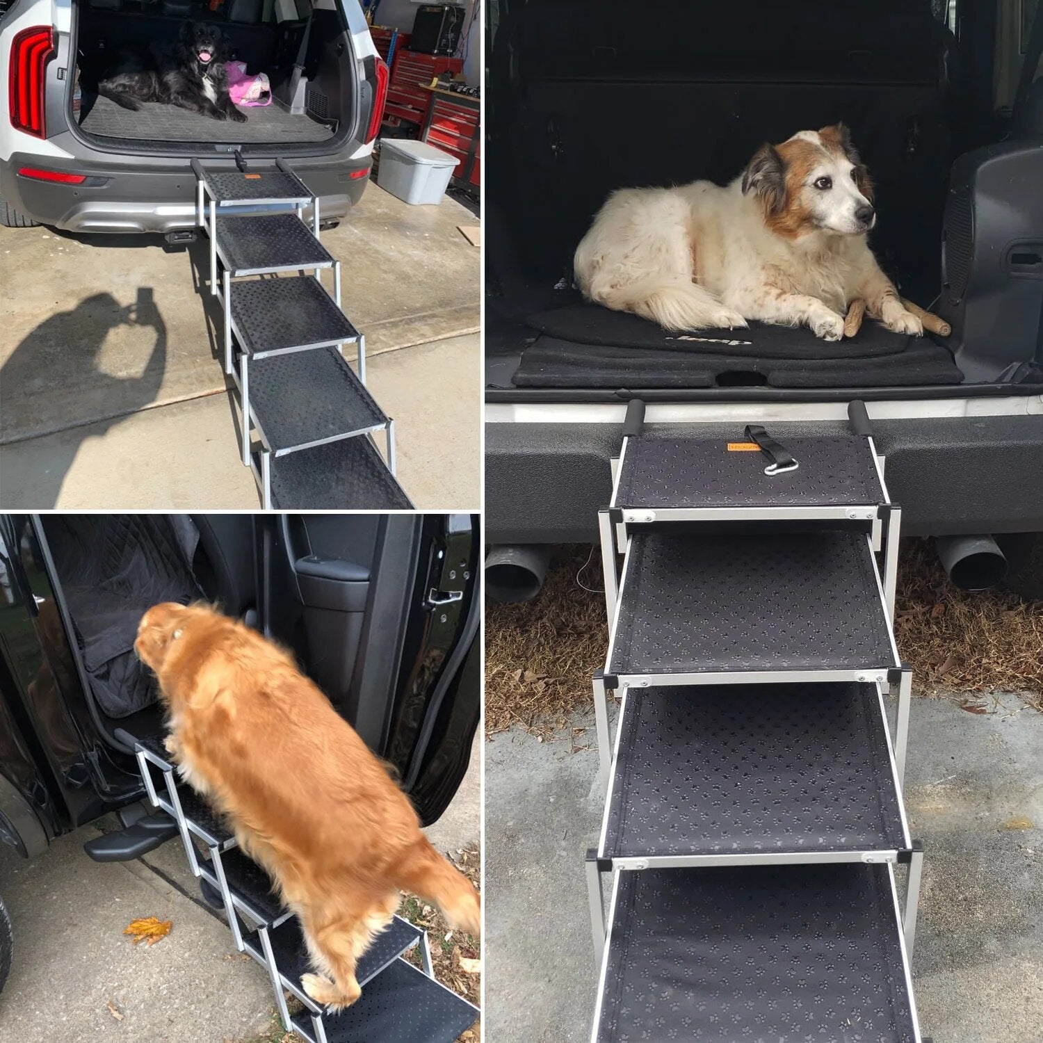 WoofSteps Hopfällbar Hundtrappa - Djurslottet